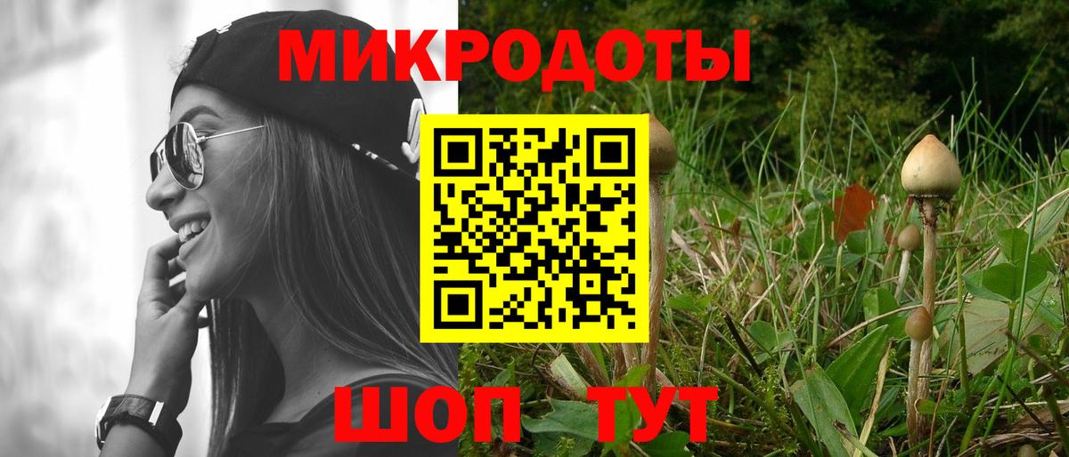 Псилоцибиновые грибы Cubensis Уссурийск