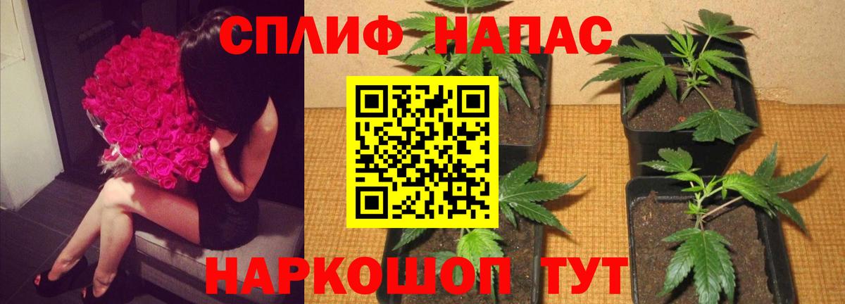 Марихуана ГИДРОПОН Уссурийск